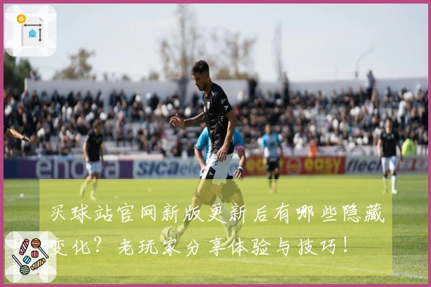 买球站官网新版更新后有哪些隐藏变化？老玩家分享体验与技巧！