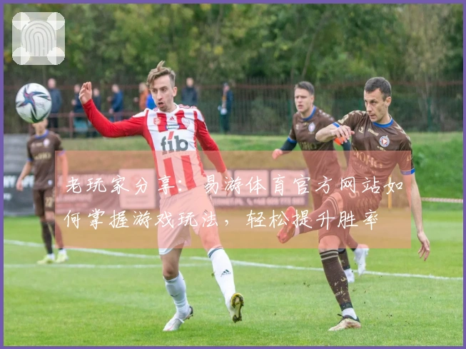 老玩家分享：易游体育官方网站如何掌握游戏玩法，轻松提升胜率